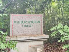 -音乐台