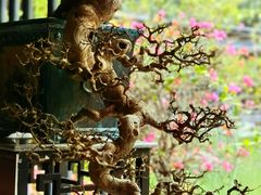 -云溪植物园