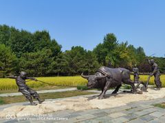 -北坞公园