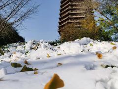 -玲珑塔公园