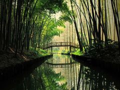 -同里国家湿地公园
