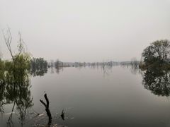-绿堤公园