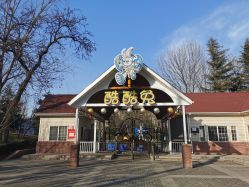 -酷酷兔少儿拓展天地
