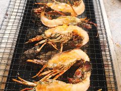 -吴淞炮台湾湿地森林公园烧烤区