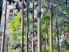 -青城山