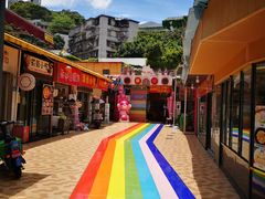-猫咪博物馆(顶澳仔猫街店)