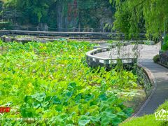 -西南交通大学(峨眉校区)