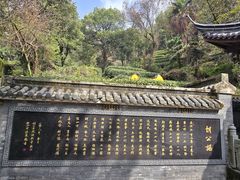 -十八棵（老龙井）御茶园(老龙井店)