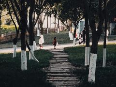 -重庆彩云湖湿地公园