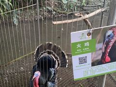 -青青世界