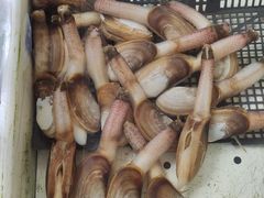 -南沙十九涌渔人码头-南门