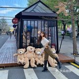 深圳拍照探店｜首发🧸60只泰迪熊来袭啦！