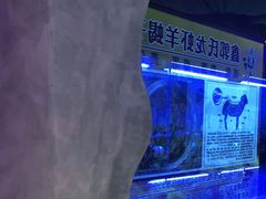 -鑫郭氏·南昌20年大排档·小龙虾羊蝎子(潮阳里店)
