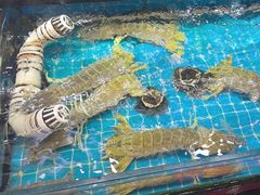 -醉壹号海鲜大排档(厦门美食地标店)