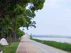 -贡湖湾湿地公园