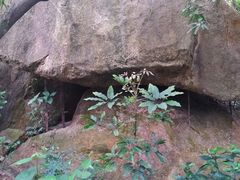 -罗三妹山