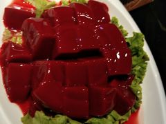 -蜀九香火锅(营口店)