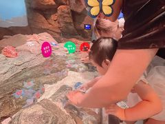 -沈阳海洋探索中心