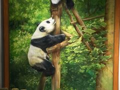 -成都泰迪熊博物馆