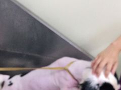 -爱侣宠医·鹦鹉专科·小型哺乳类·异宠专科(灵石路店)