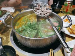 -手选潮汕鲜活牛肉火锅(二七广场店)