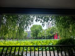 -四川大学(望江校区)