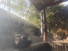 -观唐（国际）度假村温泉