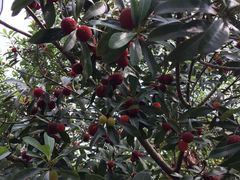 -陶祖圣境风景区