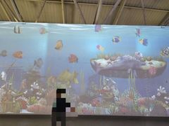 -石家庄海洋公园