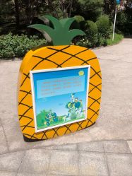 -酷酷兔少儿拓展天地