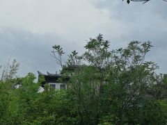 -合肥三国新城遗址公园