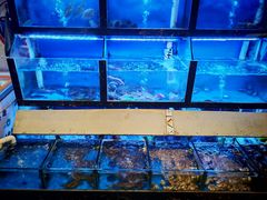 -老东风菜馆·羊肉火锅·海鲜·砂锅粥