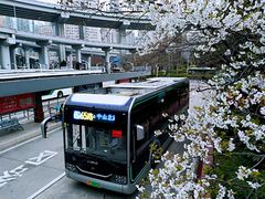 -上海南浦大桥长途旅游客运站
