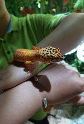 -酷嗒动物文化乐园(cutezoo西溪乐天城店)