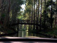 -同里国家湿地公园