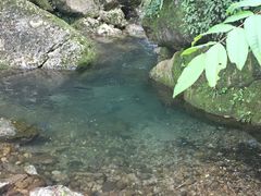 -青城山