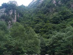 -青峰峡国家森林公园