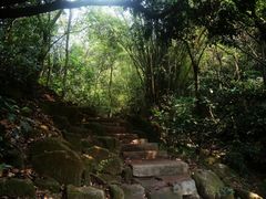 -火炉山森林公园