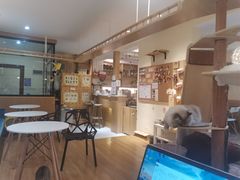 -滚猫咖啡·猫咖·猫友好撸猫(未来城店)