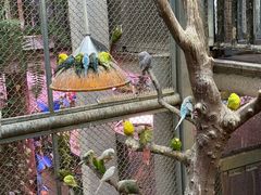 -正佳雨林生态植物园