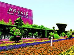-武汉市民之家