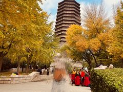 -玲珑塔公园