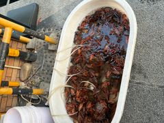 -老东北大铁锅·烧烤·东北菜