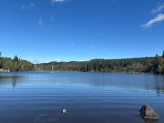 -五营红松林海景区