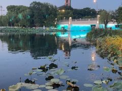 -新江湾城公园