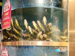 -蜀滋香鲜鱼美蛙火锅(339店)