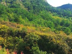 -磬锤峰森林公园