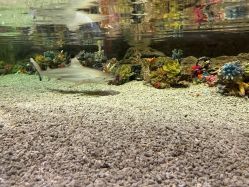 -Zoolung Zoolung动物主题公园(海信广场店)