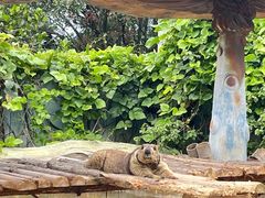 -泉州海丝野生动物世界