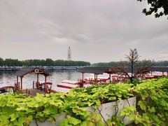 -白洋淀景区